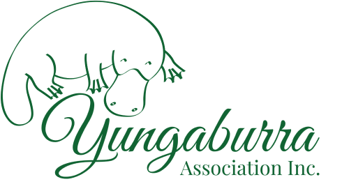 Gillies 100 Year Anniversary